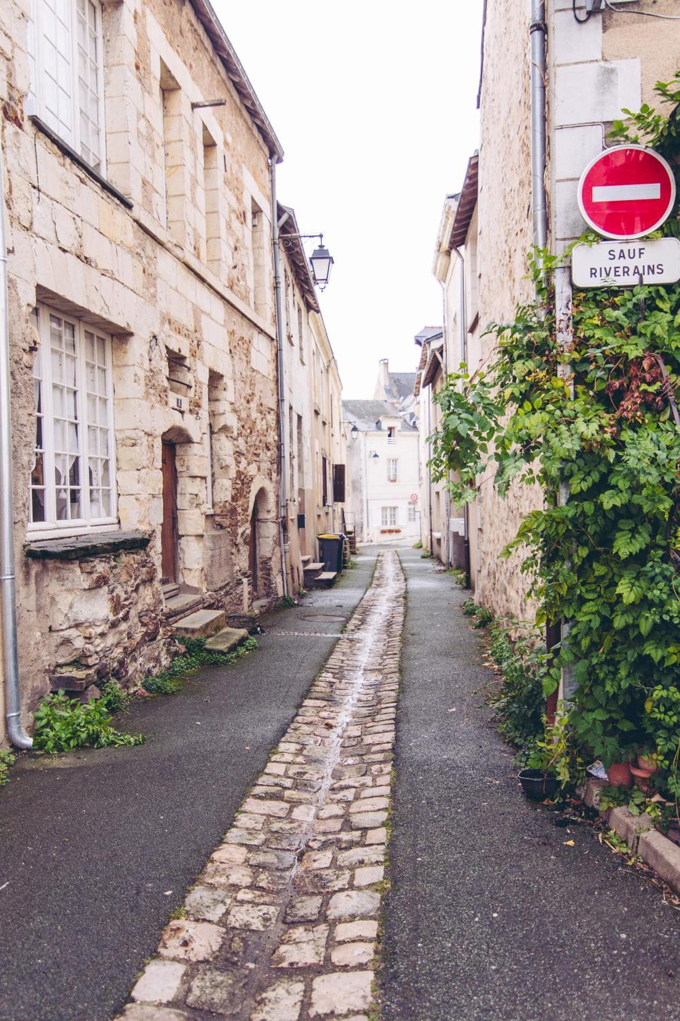 Le Regisseur * Brissac-Quince