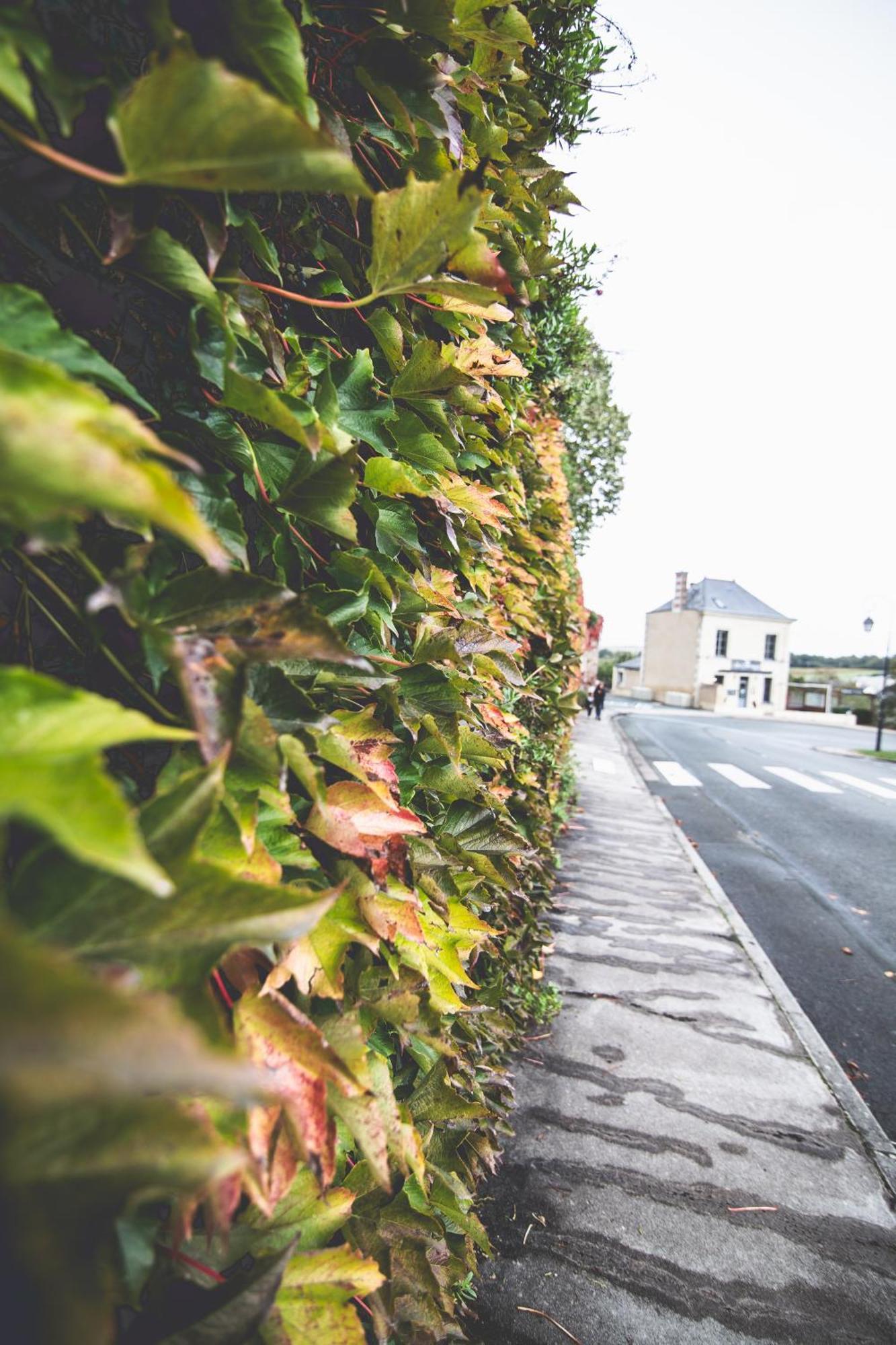 Le Regisseur Apartment Brissac-Quince